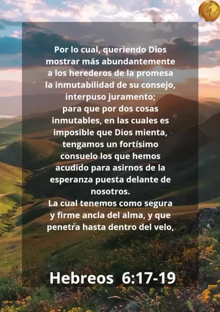 @Vicayquipa