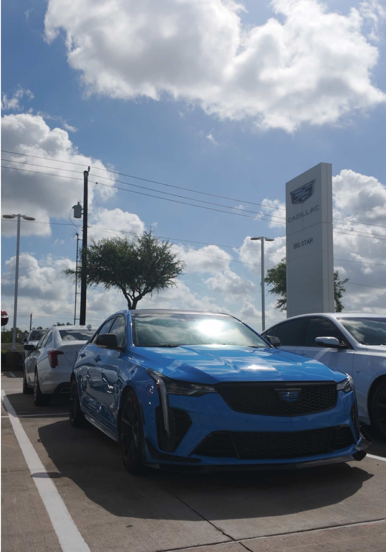 @Cadillac from Ty