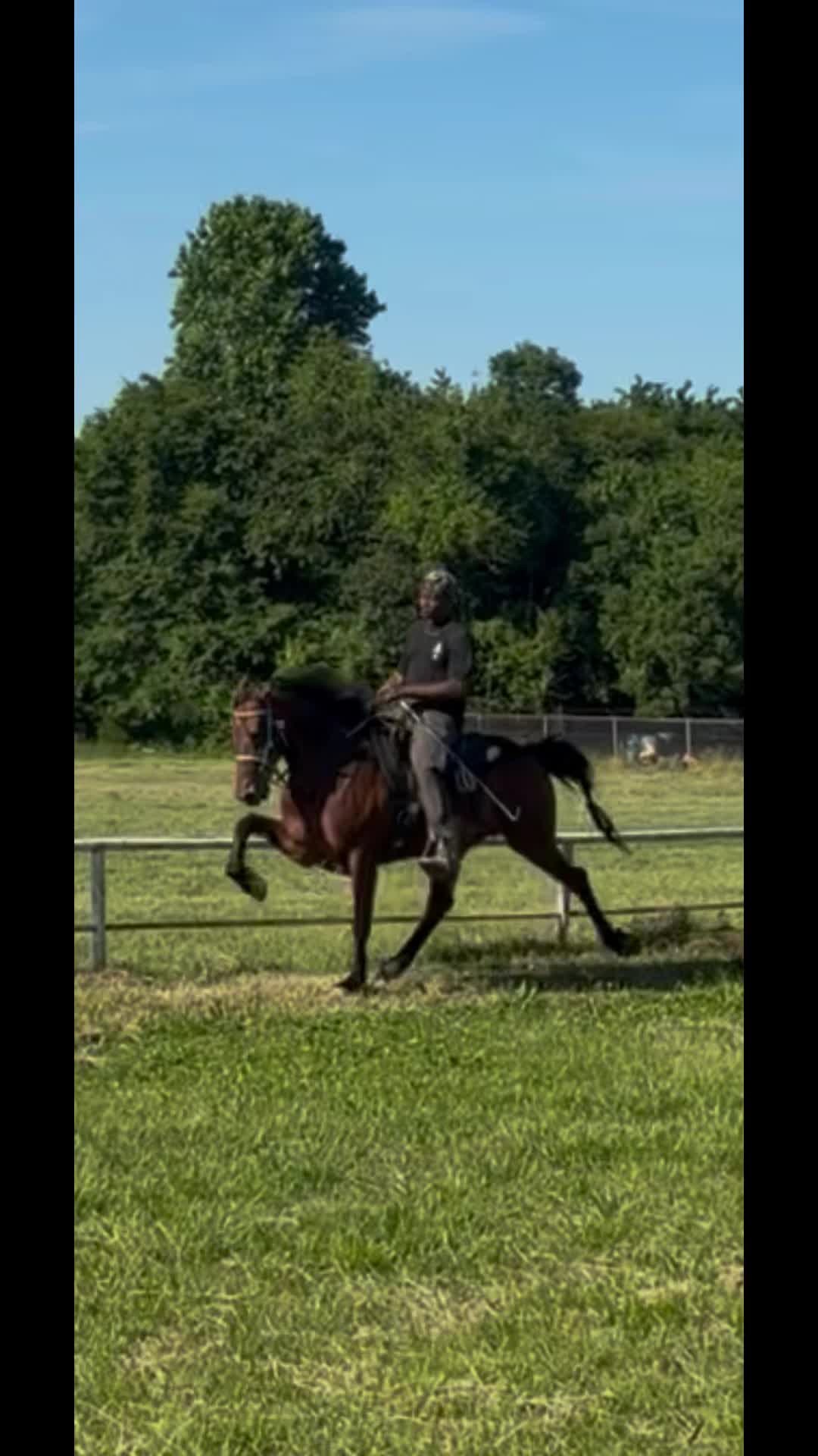 @TSmoov🐴 💰