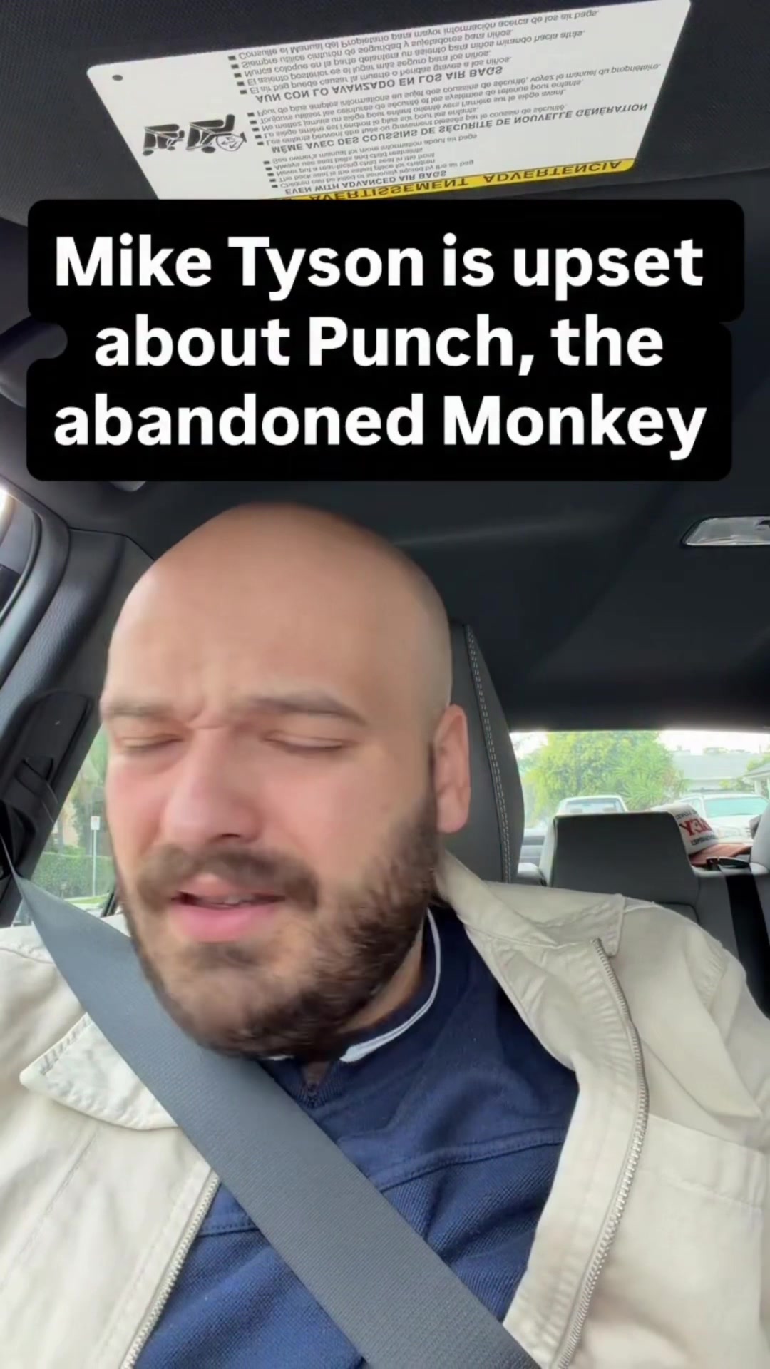 @amon