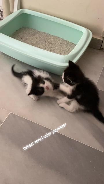 @Bilgen Yılmaz
