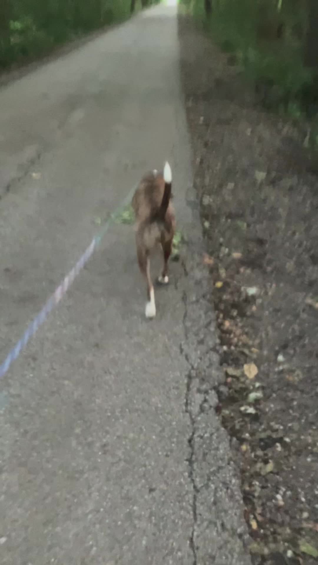 @Hikingwithstanley