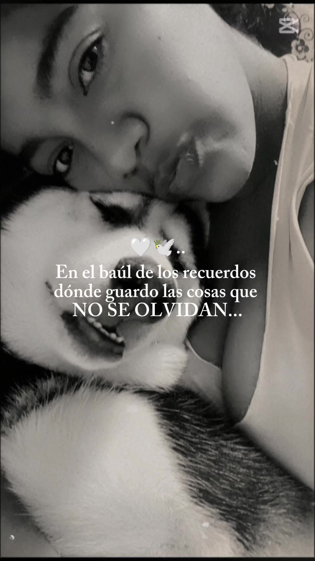 @Arely Mosquera