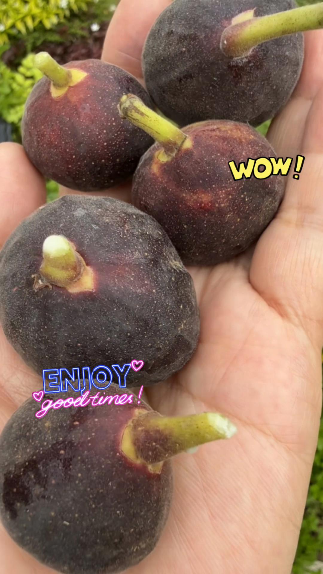 @Jojo