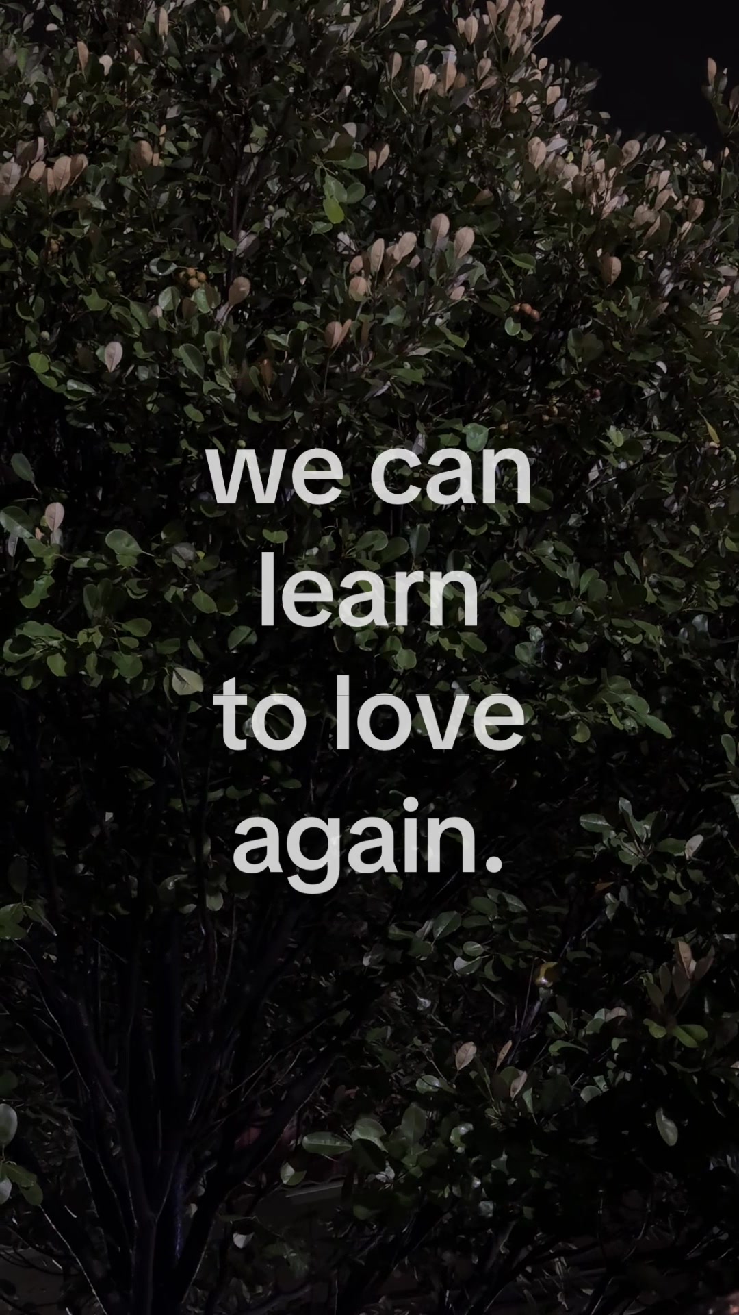 @𝗗𝗶𝗮𝗻𝘆