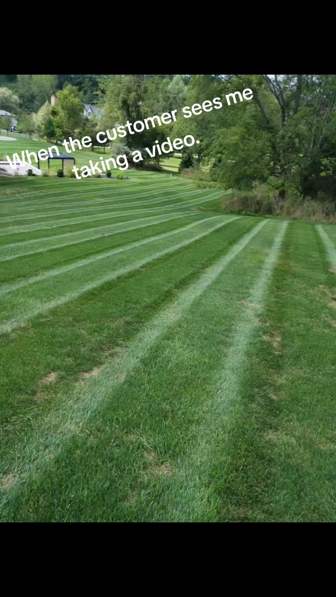 @mulletdingermaster3000