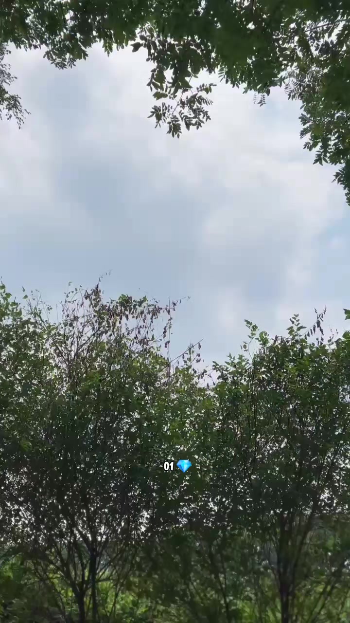 @𝐂&aacute;𝐜𝐞𝐫𝐞𝐬 💎