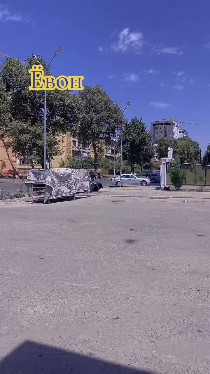 @🫴🏻🫠ёвони🫠