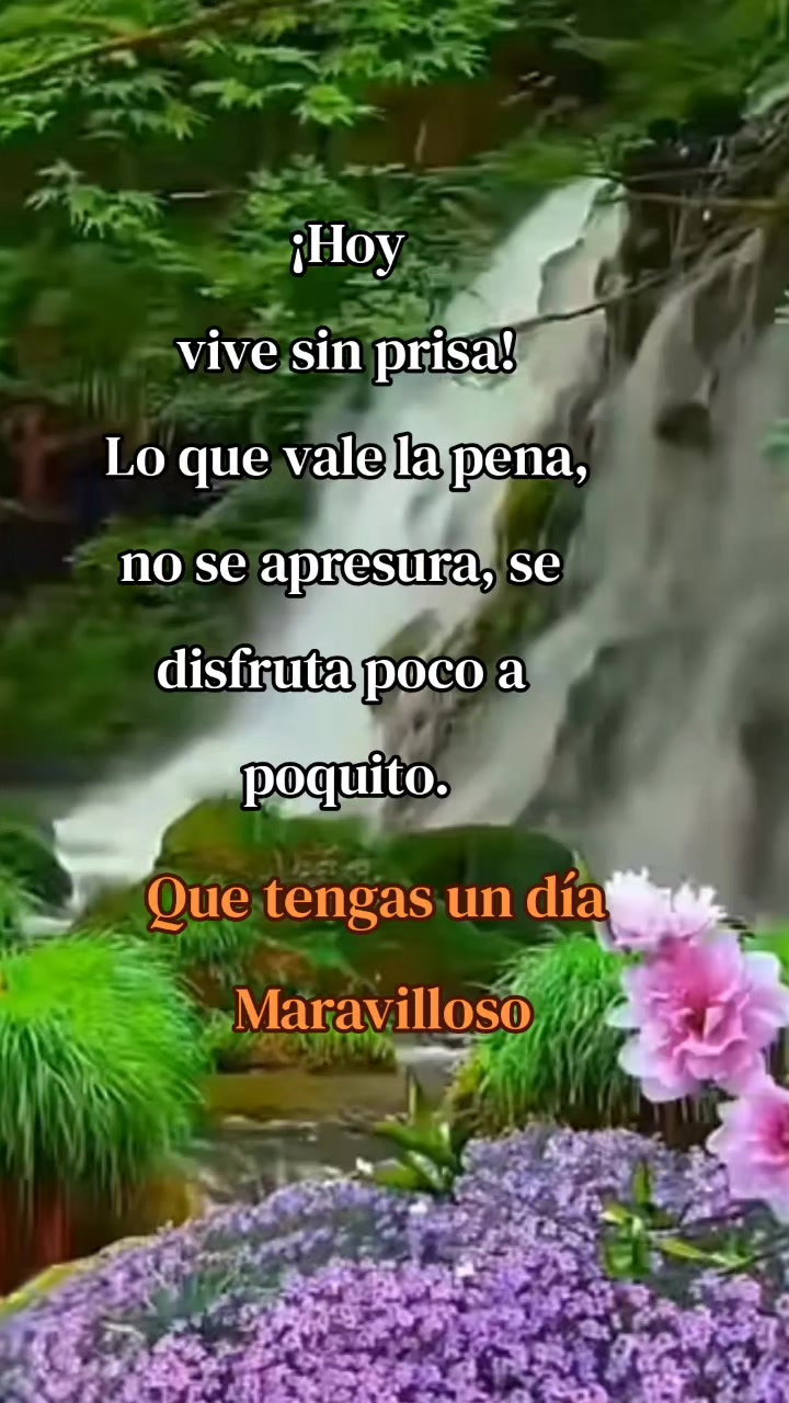 @Isabel tadshi