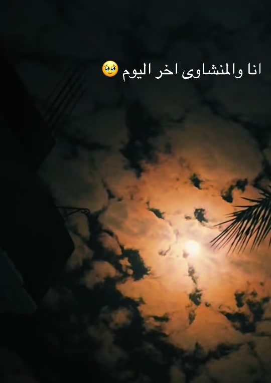 @🇸🇦&Ecirc;Mŷ🇪🇬