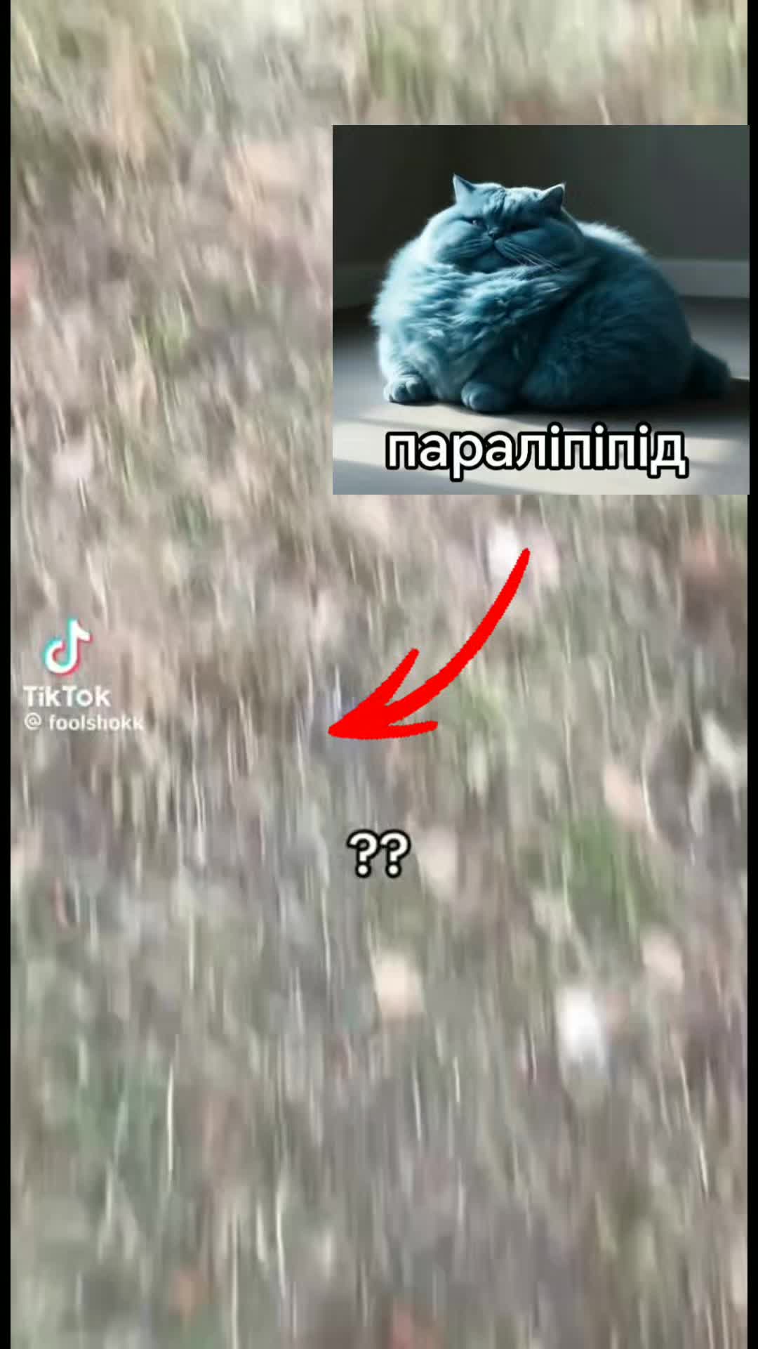 @арбузный ебака #8009