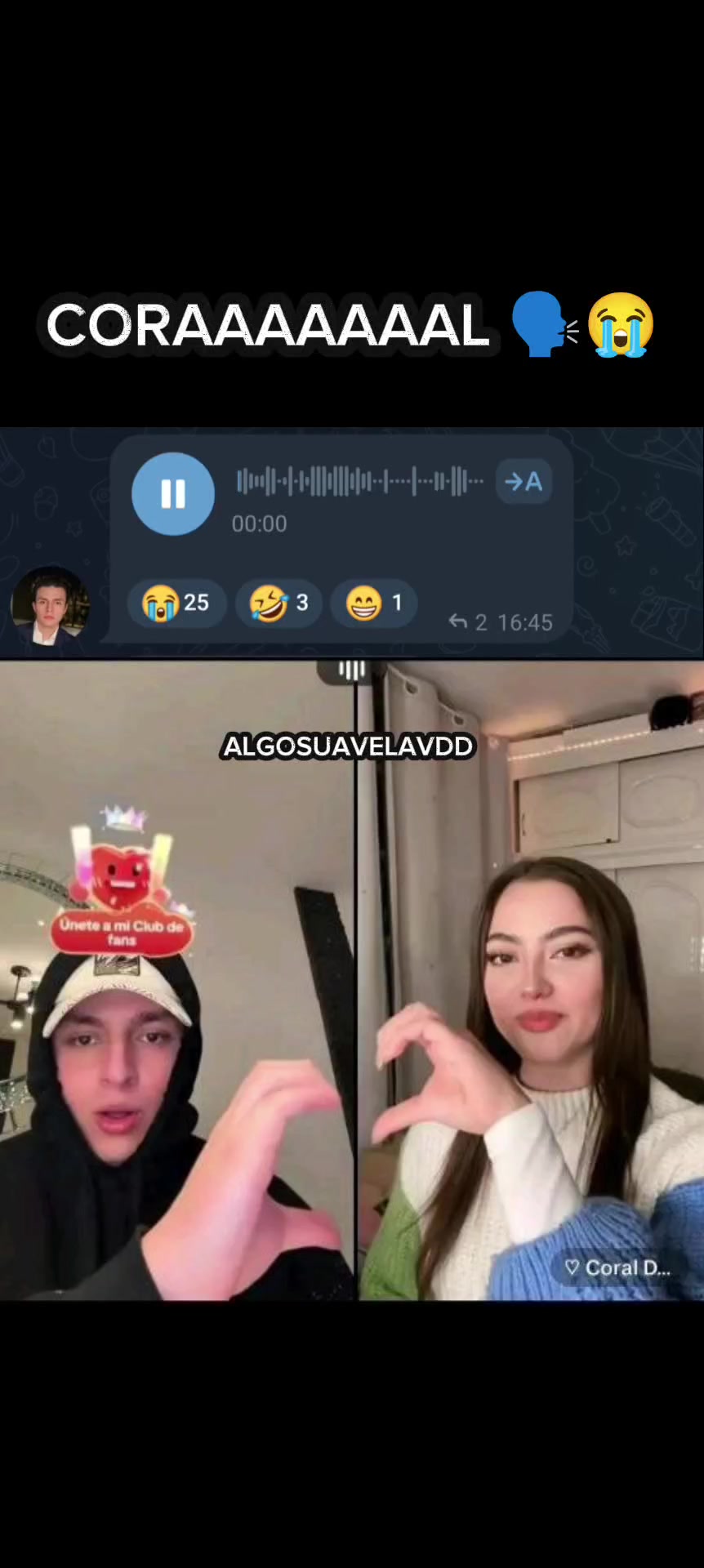 @ALGOSUAVELAVDD 🐿️