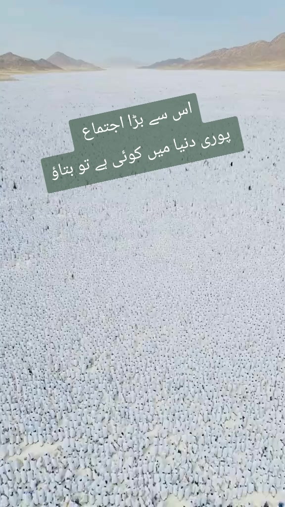 @mian sahib