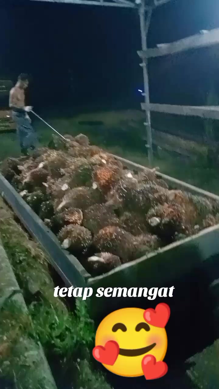 @Surip Suriansyah