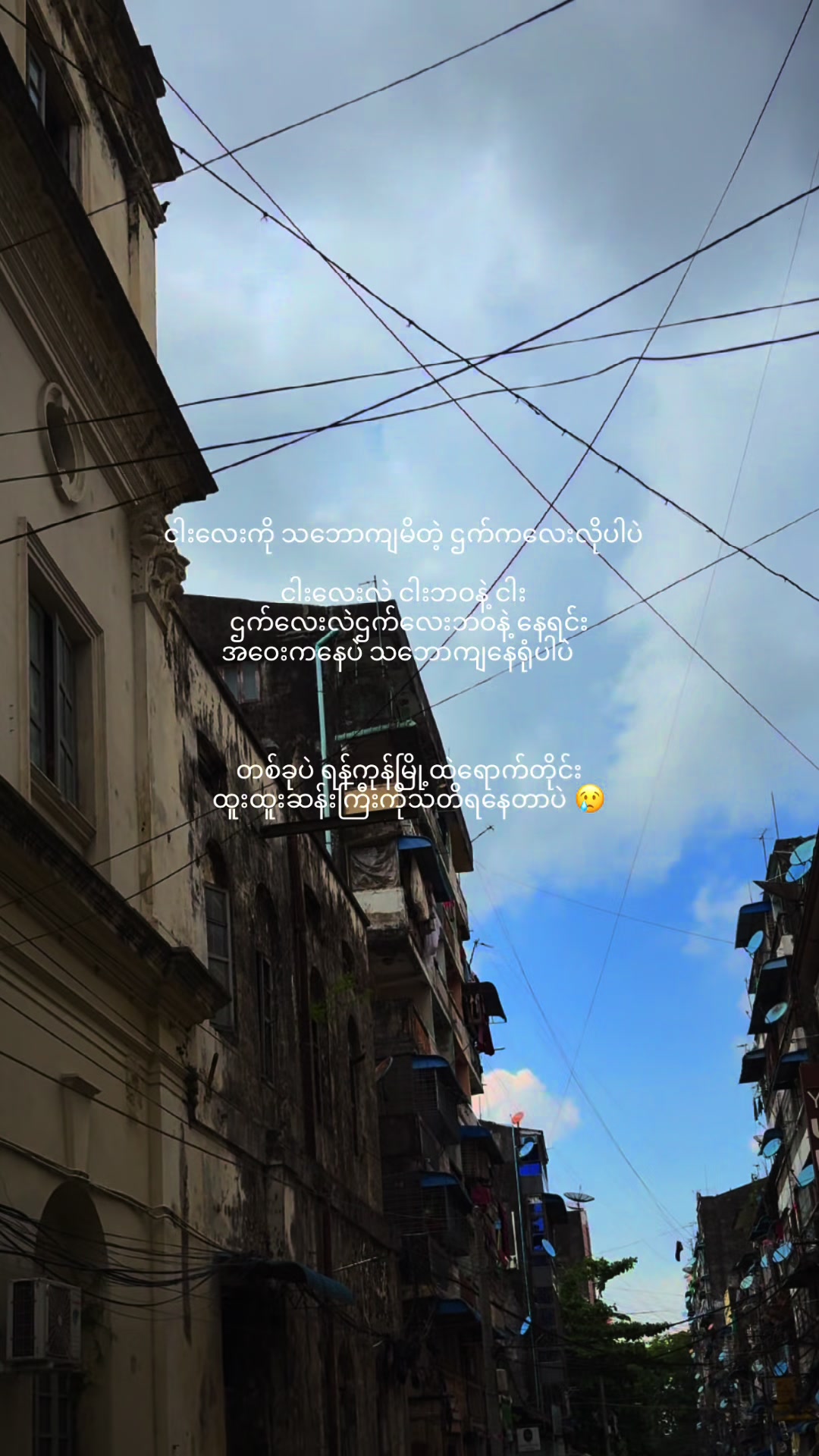 @🍀 Khun Mai 🍀 (Khun Mai Linn)