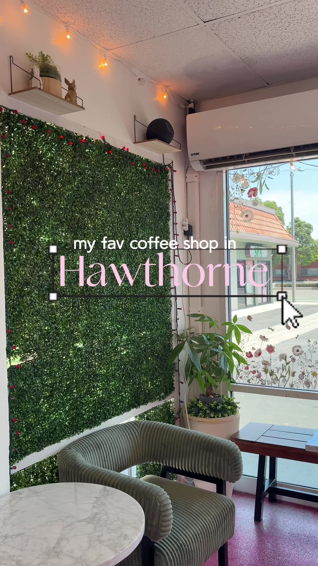 @kate denise