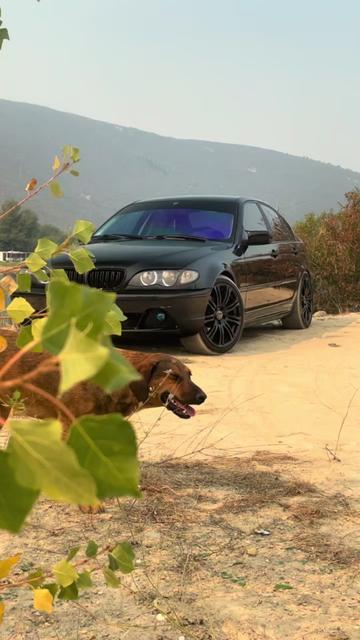 @Mostar Automotive
