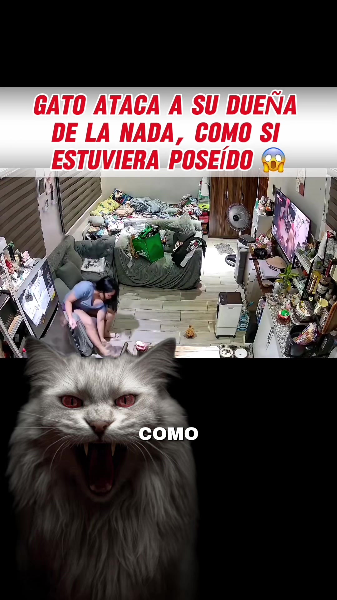 @DATOS CURIOSOS