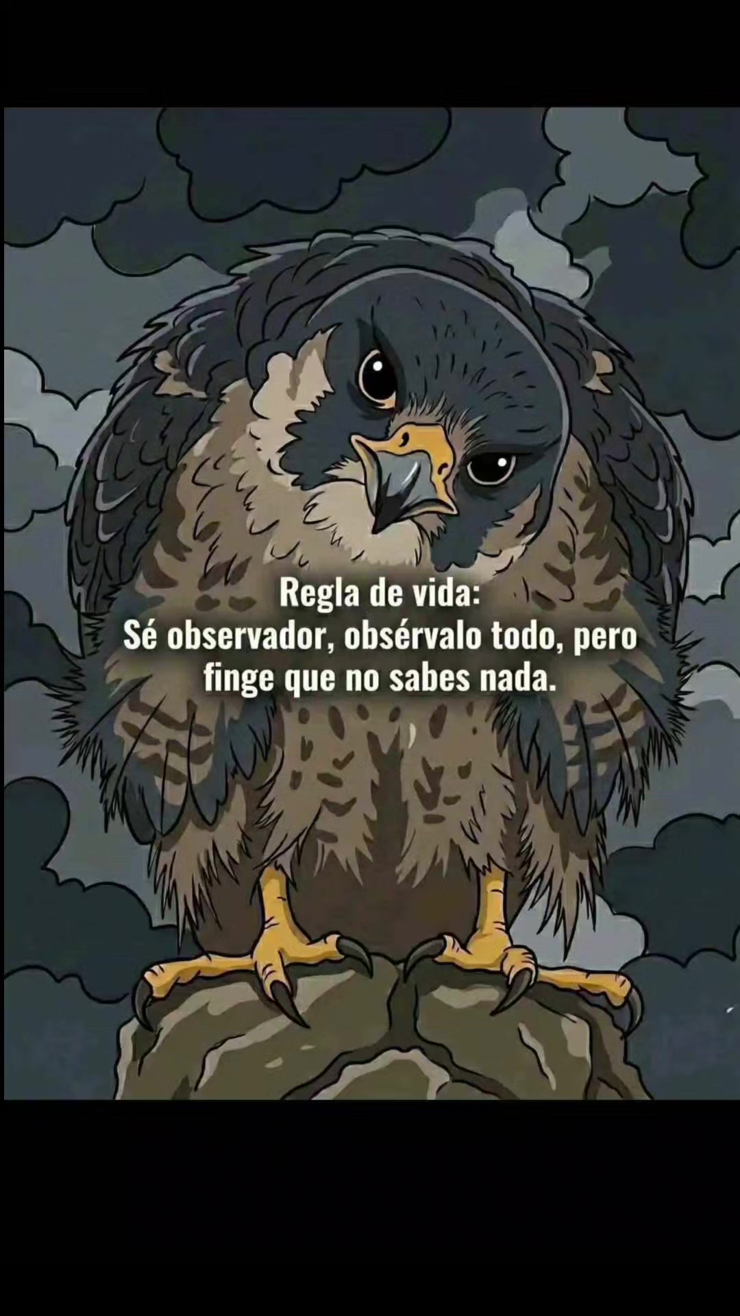 @&Aacute;NGEL LED 🌿&bull;●○&deg;