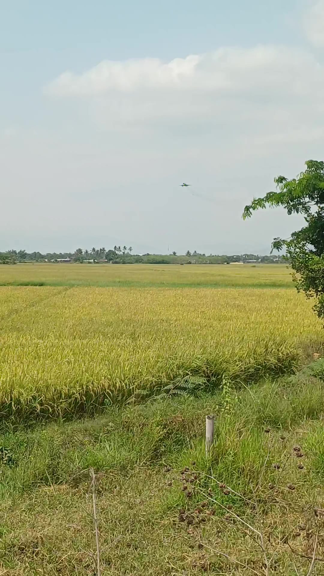 @Hoàng Hưng ✈️