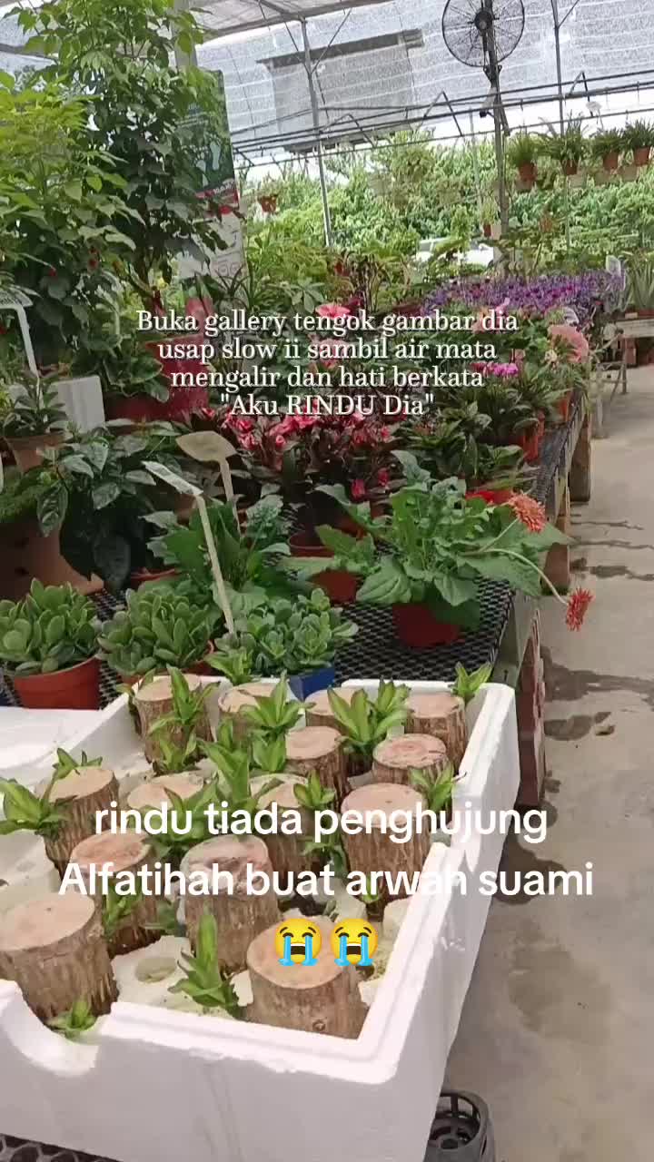 @farhana1404