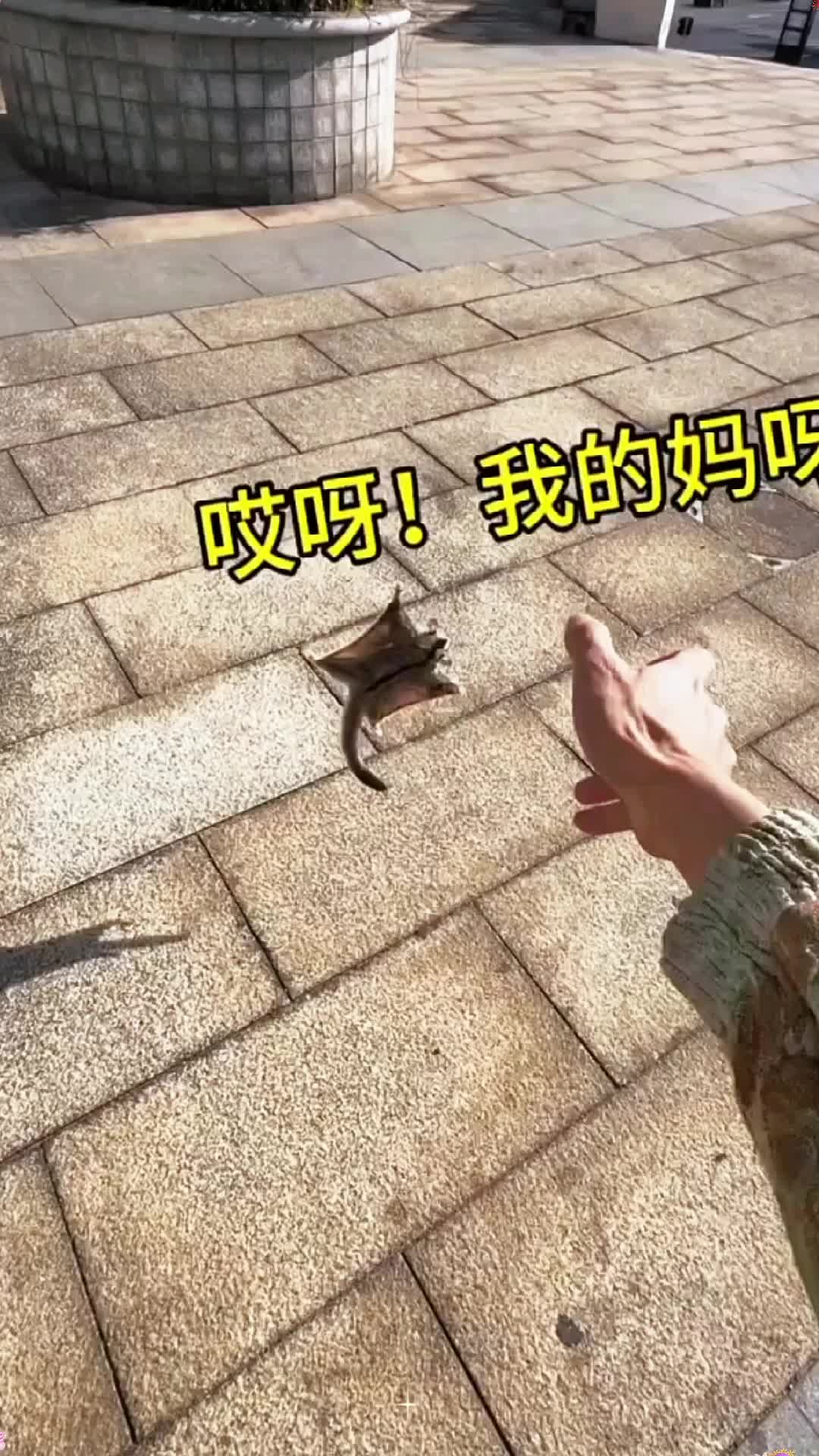 @sturgfzrp8k
