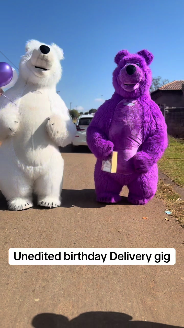 @dancingmascotssa