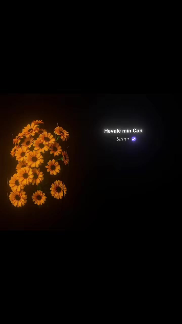 @HAYAT