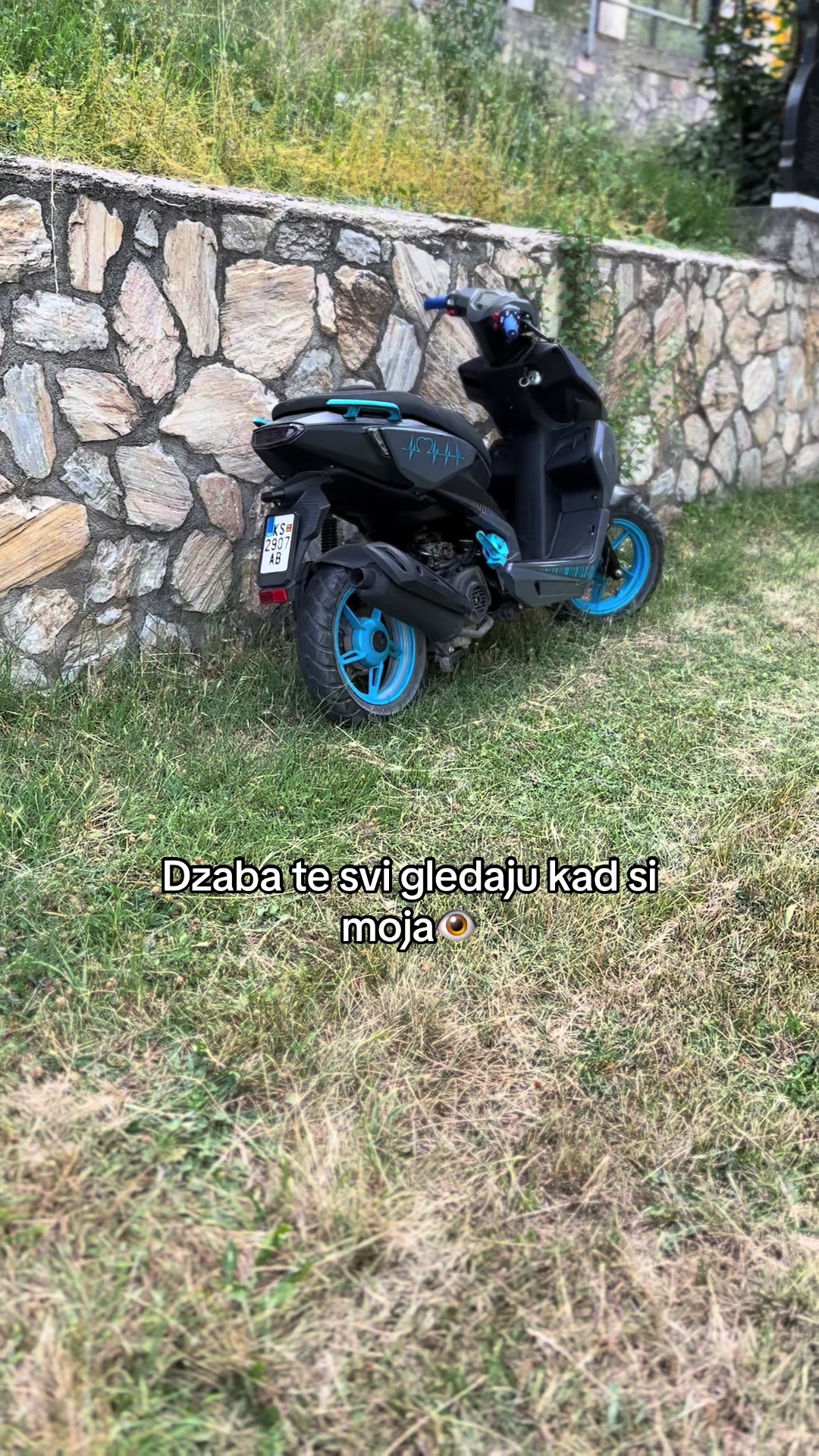 @Zajce🐇