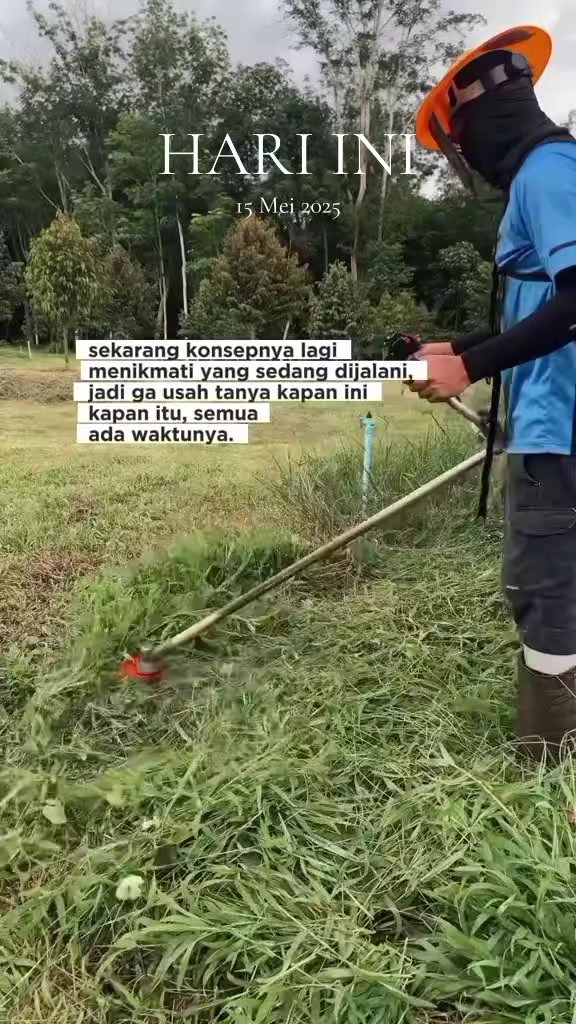 @D.kingfarm
