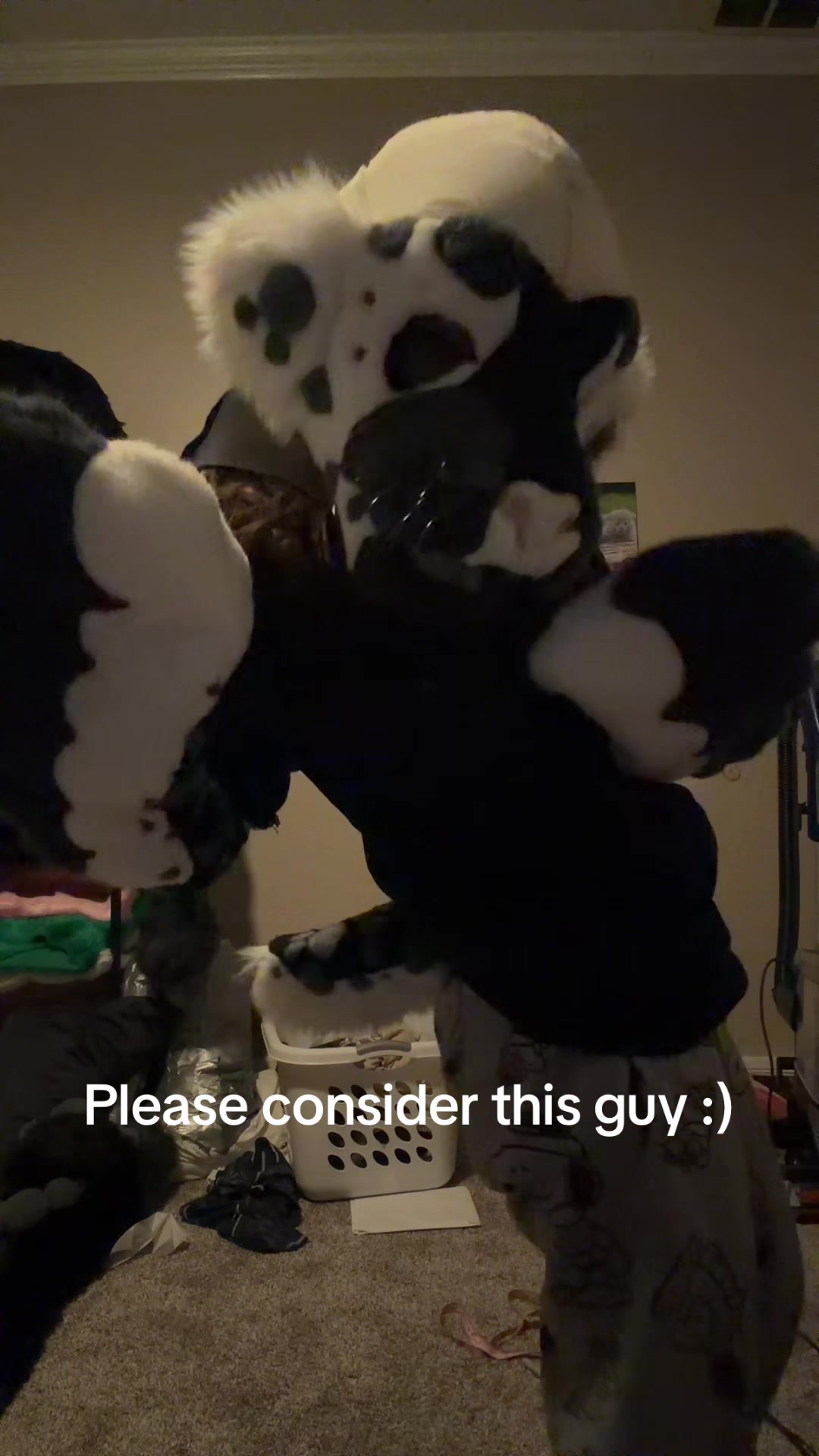 @CanineConfusion