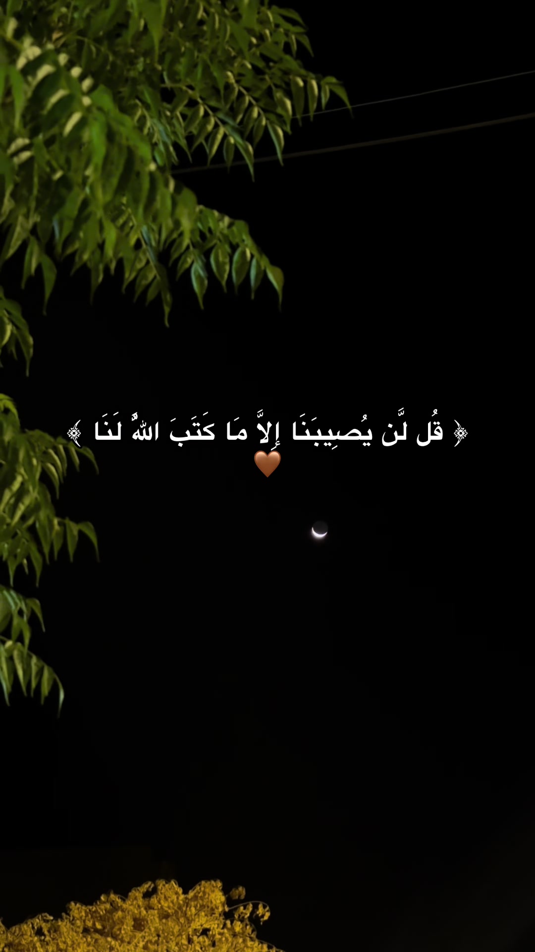 @♡