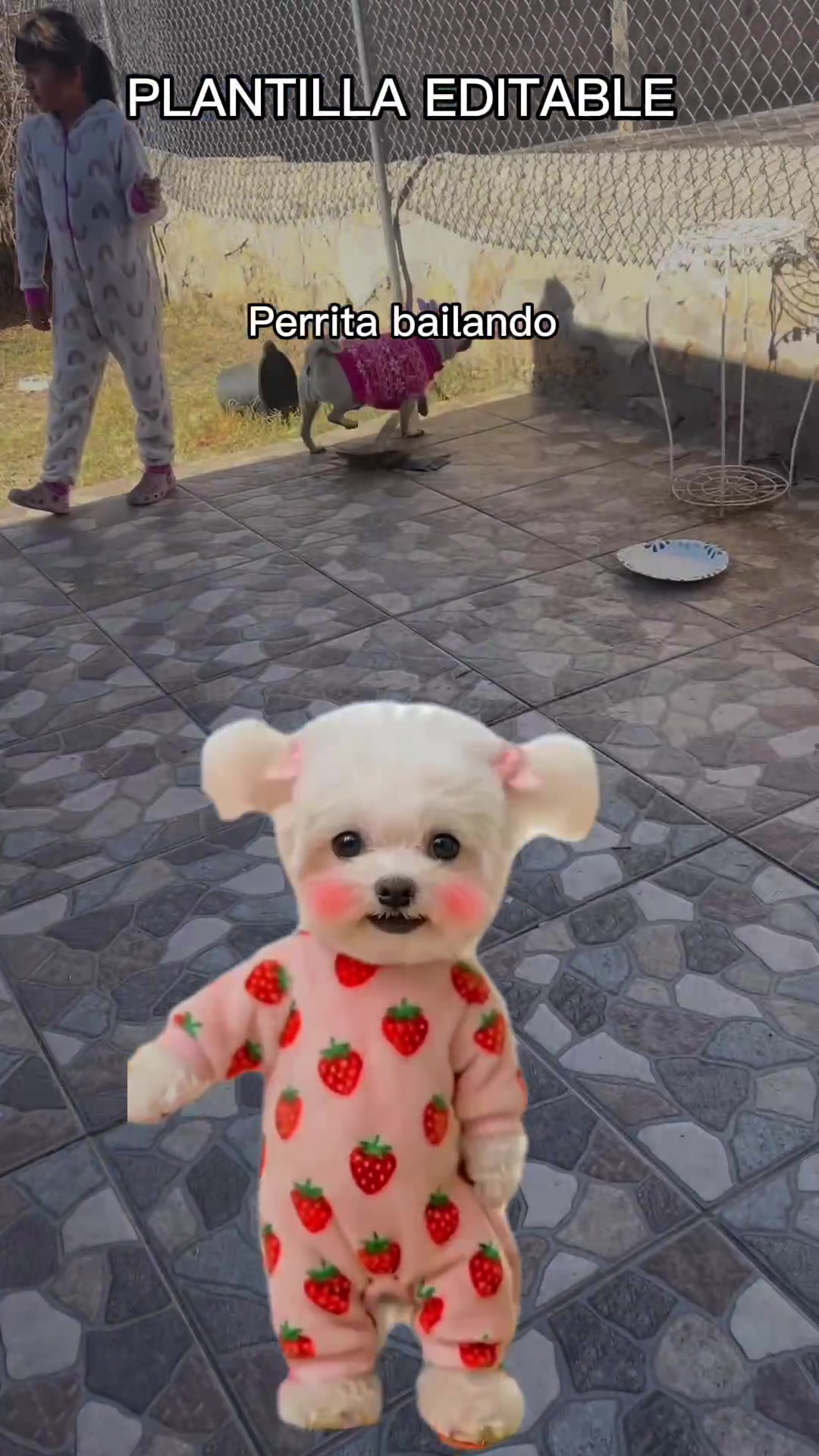 @Laura Rodríguez la tita