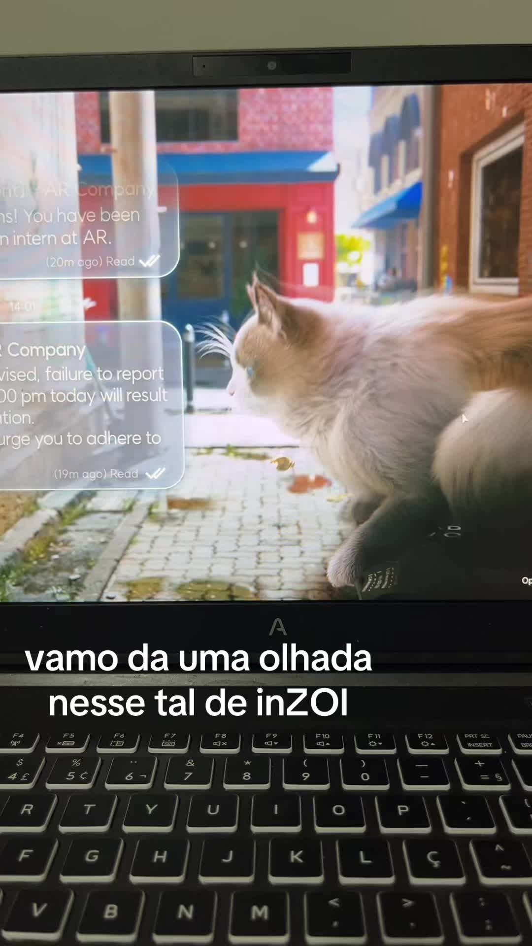 @jdx_snts