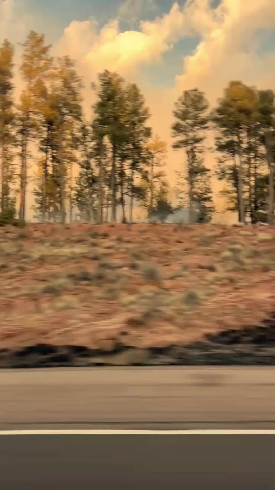 @PallasFire