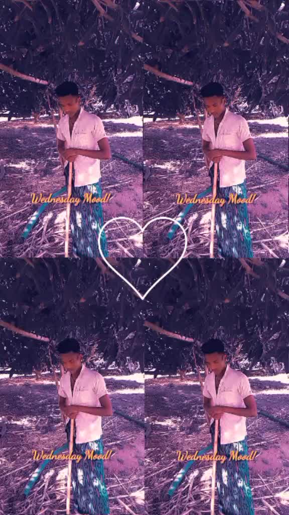 @የጨዋልጅ6168