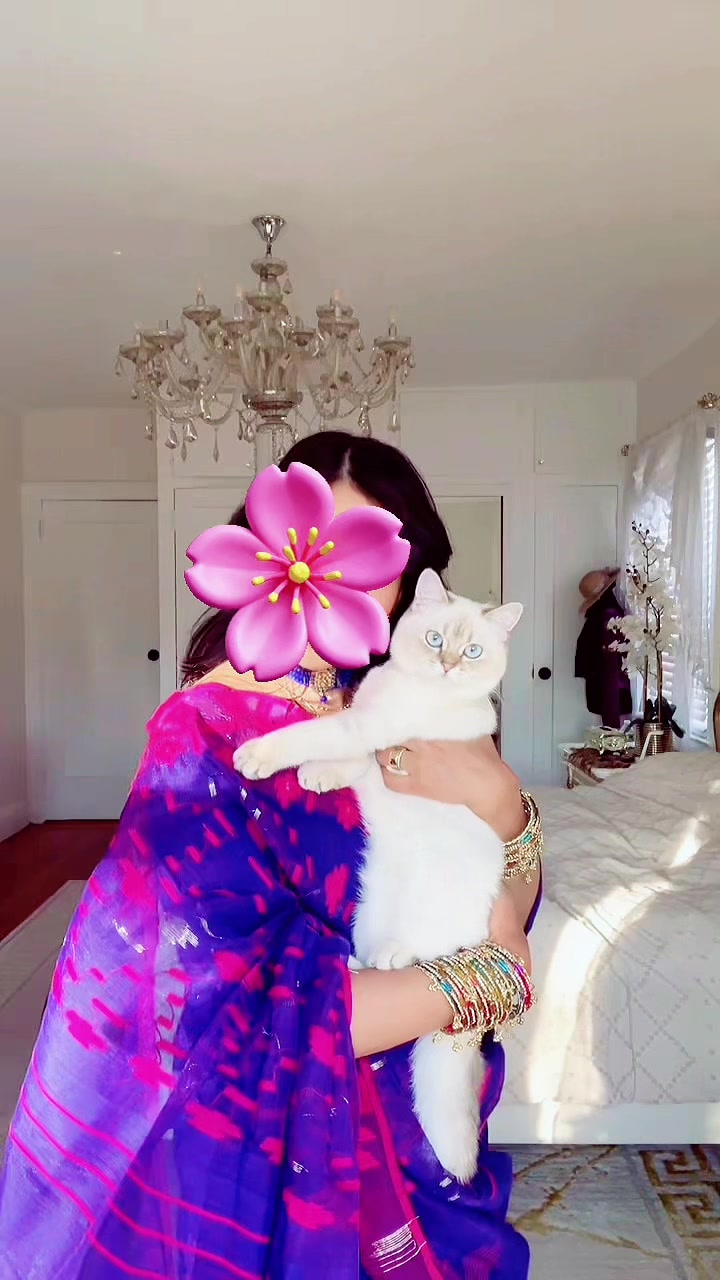 @🕊️