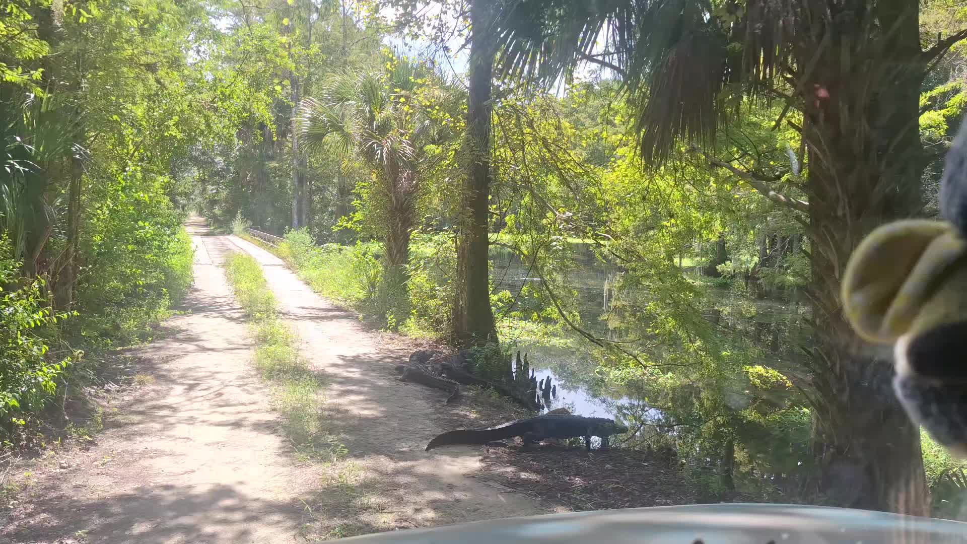 @GatorGirl22