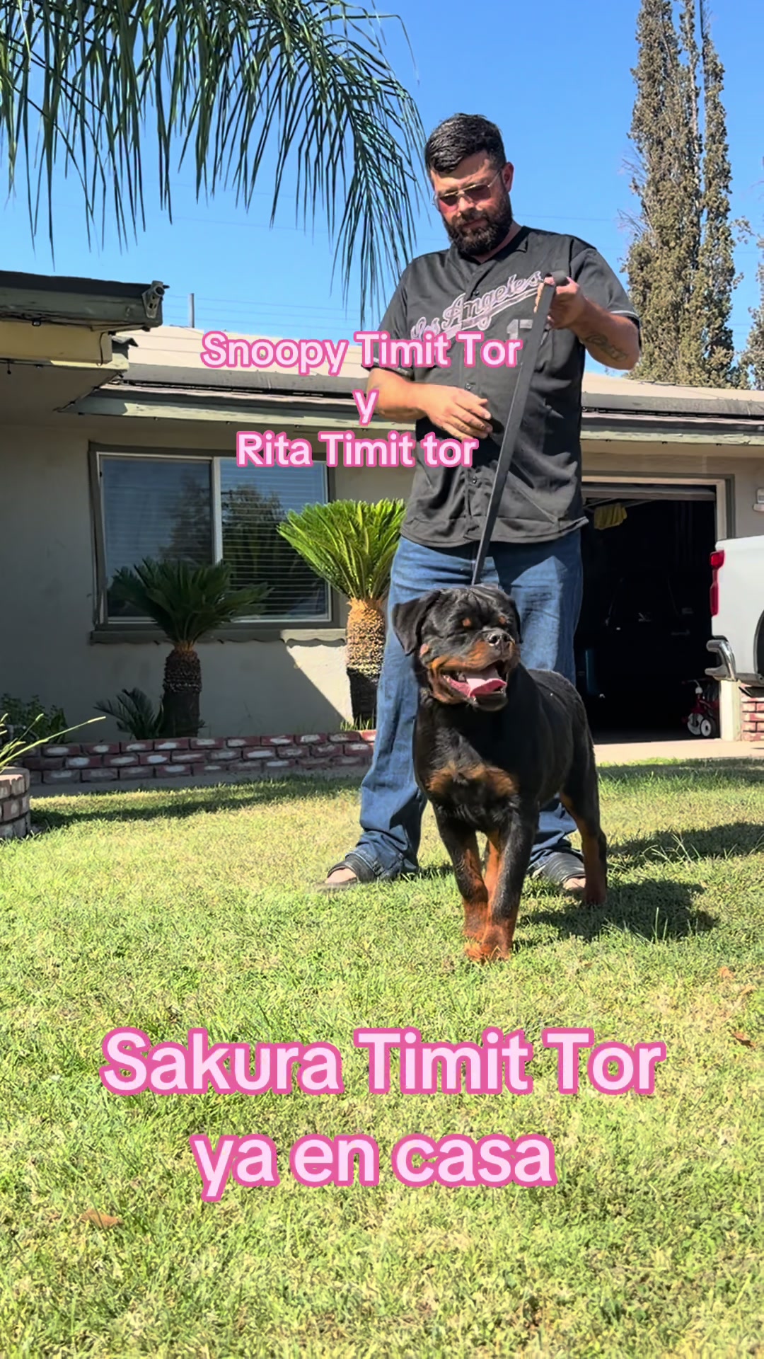 @✨VON DER MUÑOZ ROTT’S✨