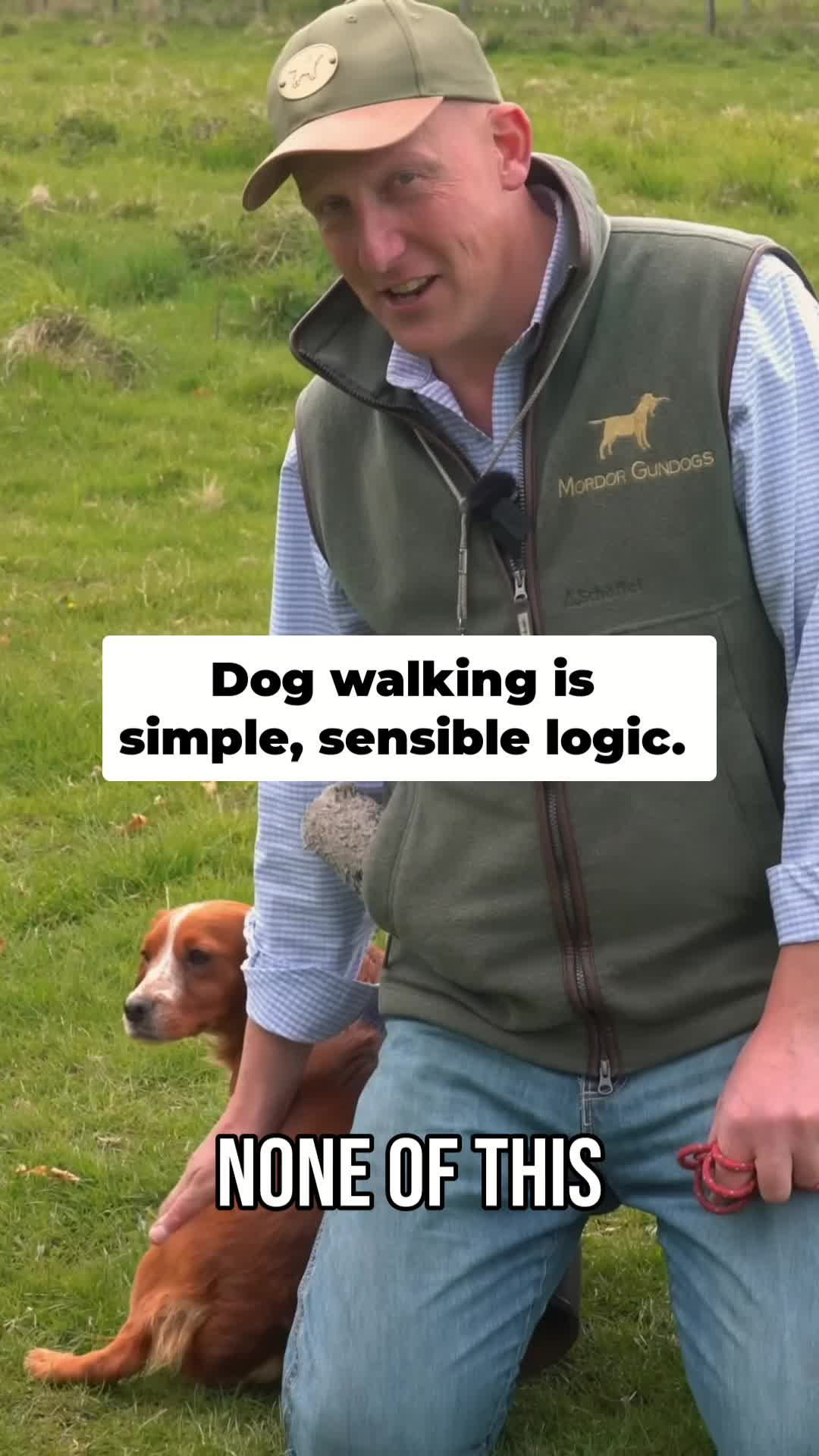 @Mordor Gundogs