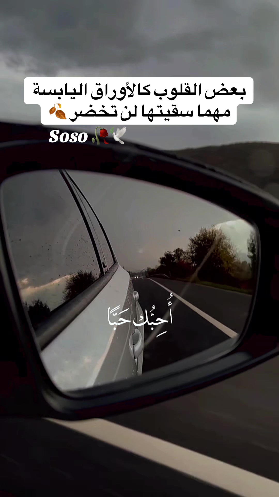 @༊෴✿ سوسو ✿〄࿐