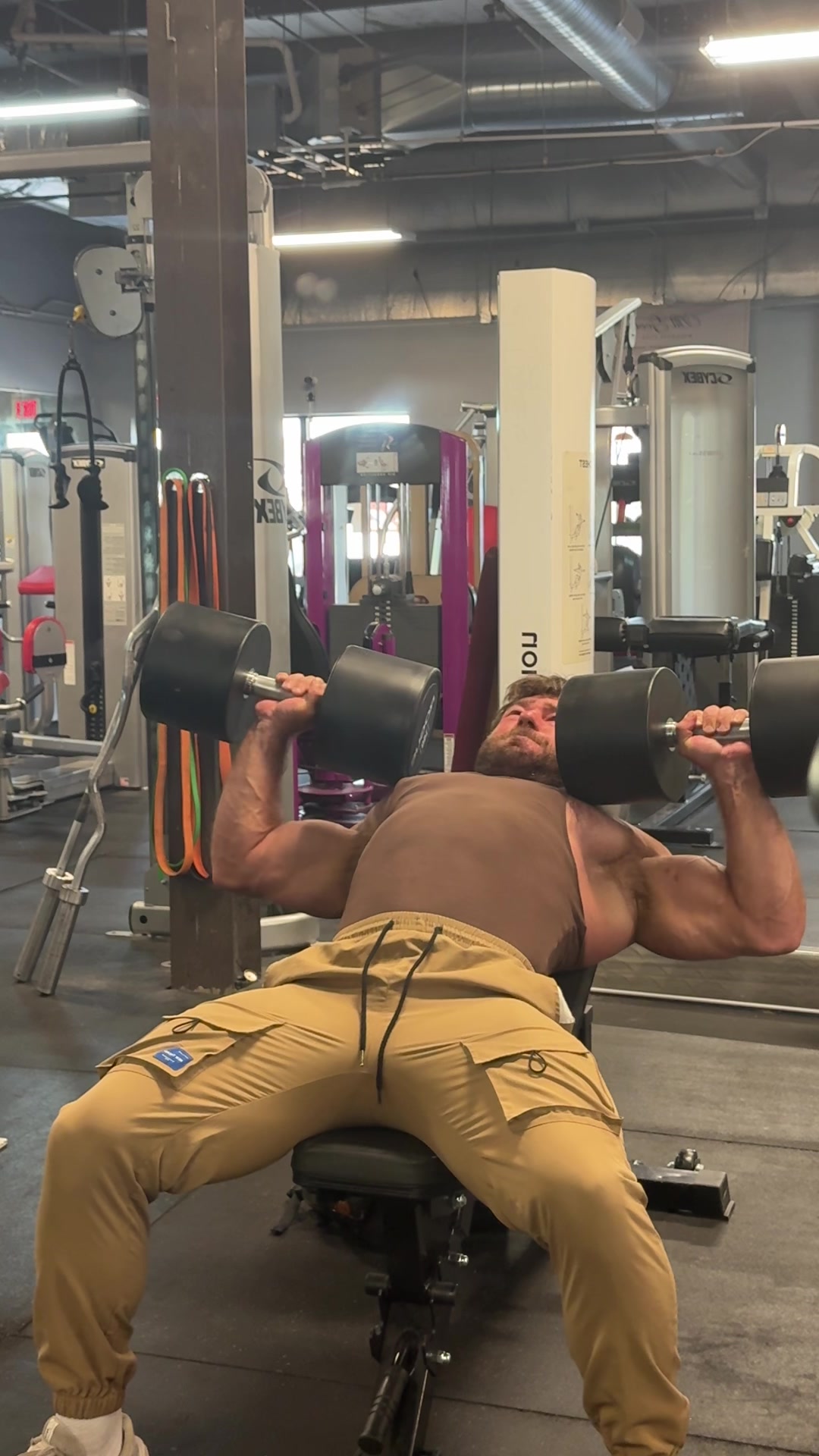 @Alex 🦍