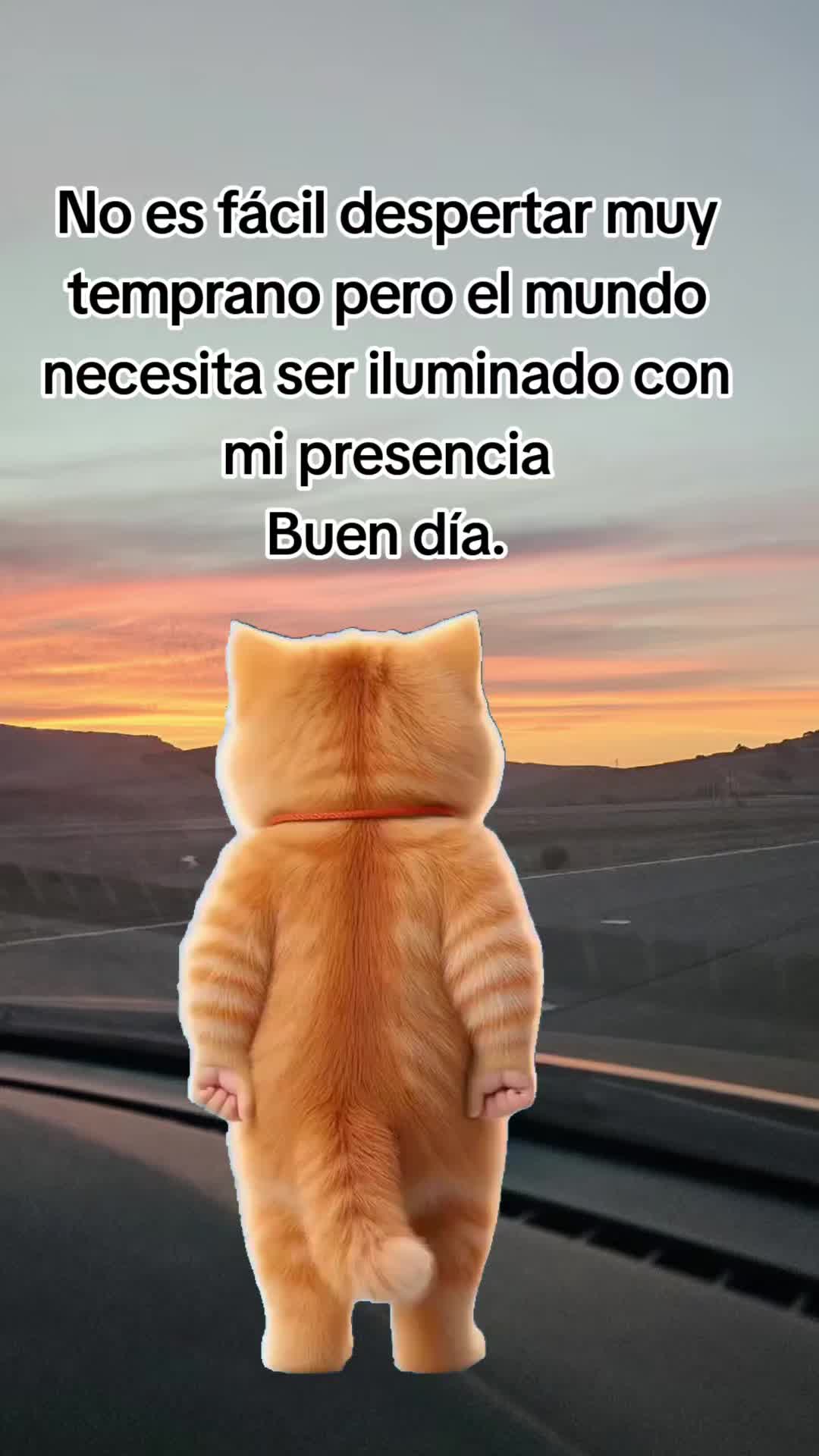@🇲🇽🐦&zwj;⬛🪺VASQUEZ🚚🌪💎