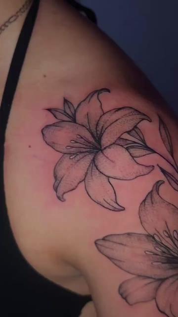 @๐จ๐๐๐๐
๐๐ ๐ฝ๐๐๐๐๐ โ