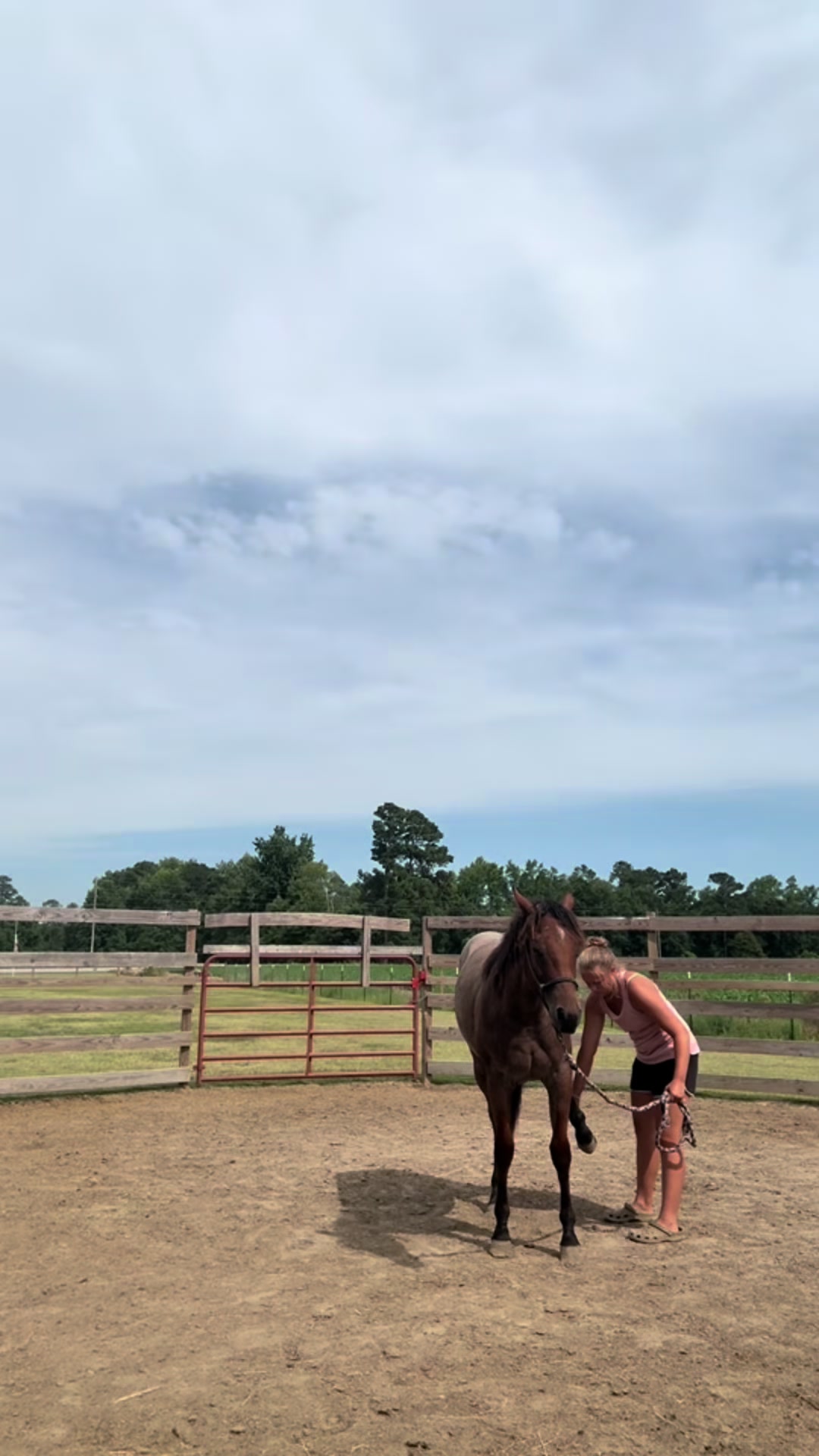 @Peppermint Pines Farm