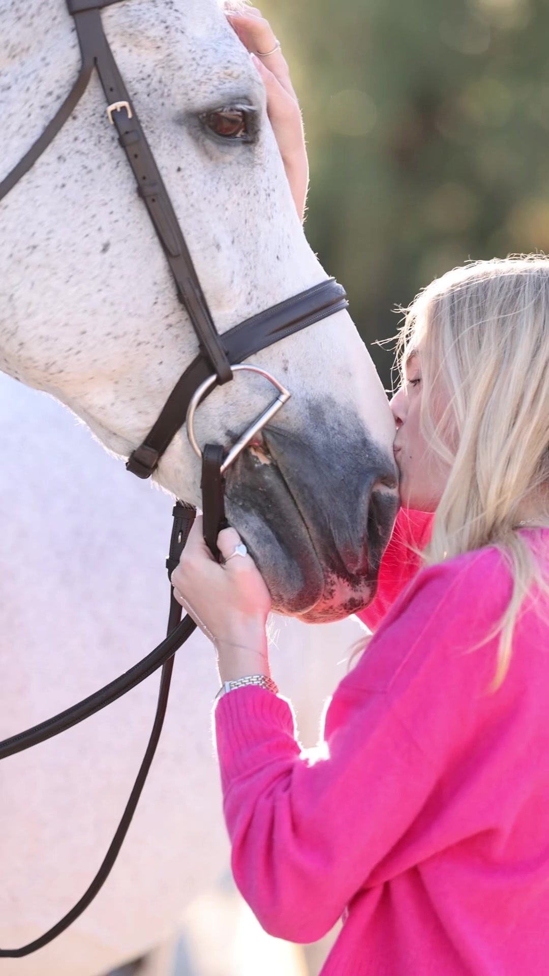 @Aubray | Equine Photographer
