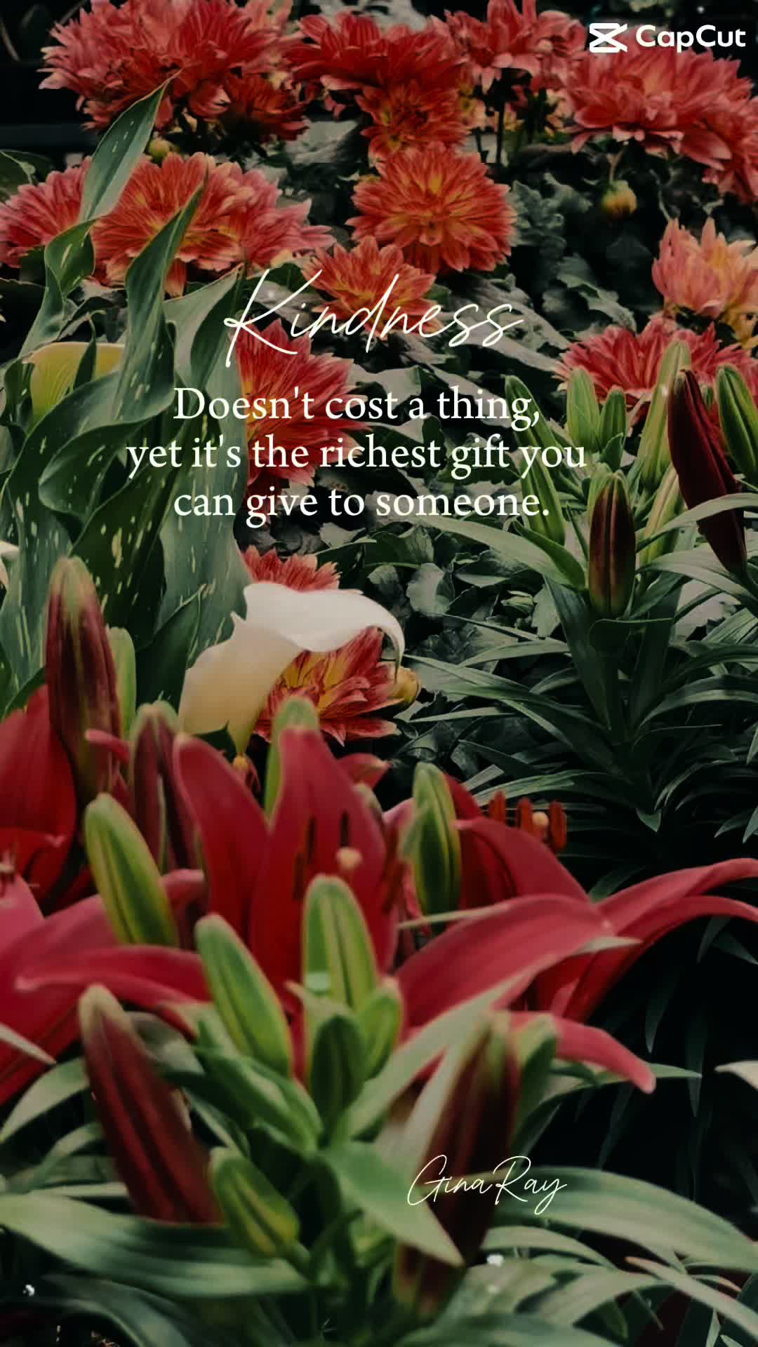 @Gina Ray&hearts;️