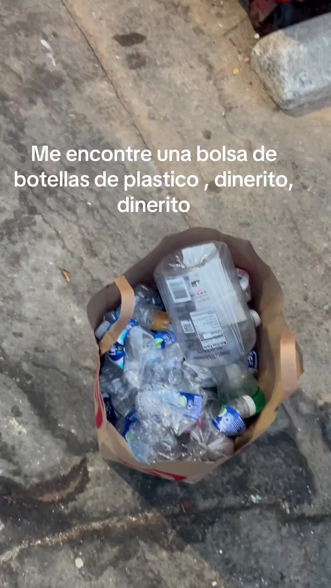 @latiarosa68