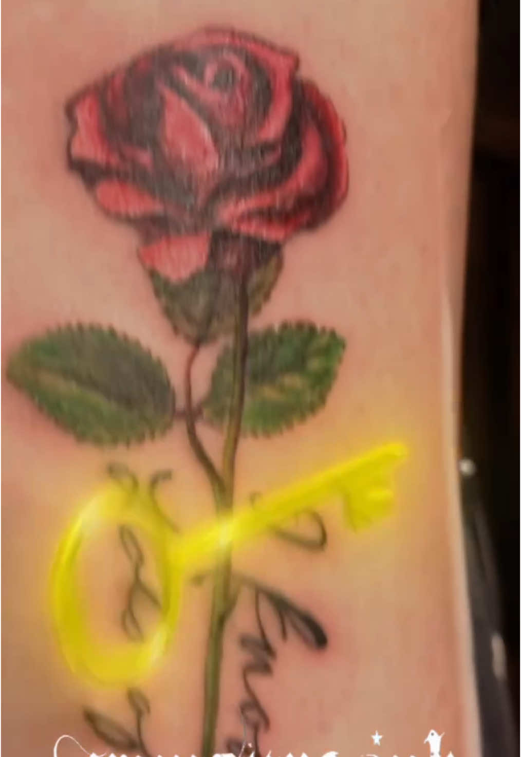 @Vampyre Ink