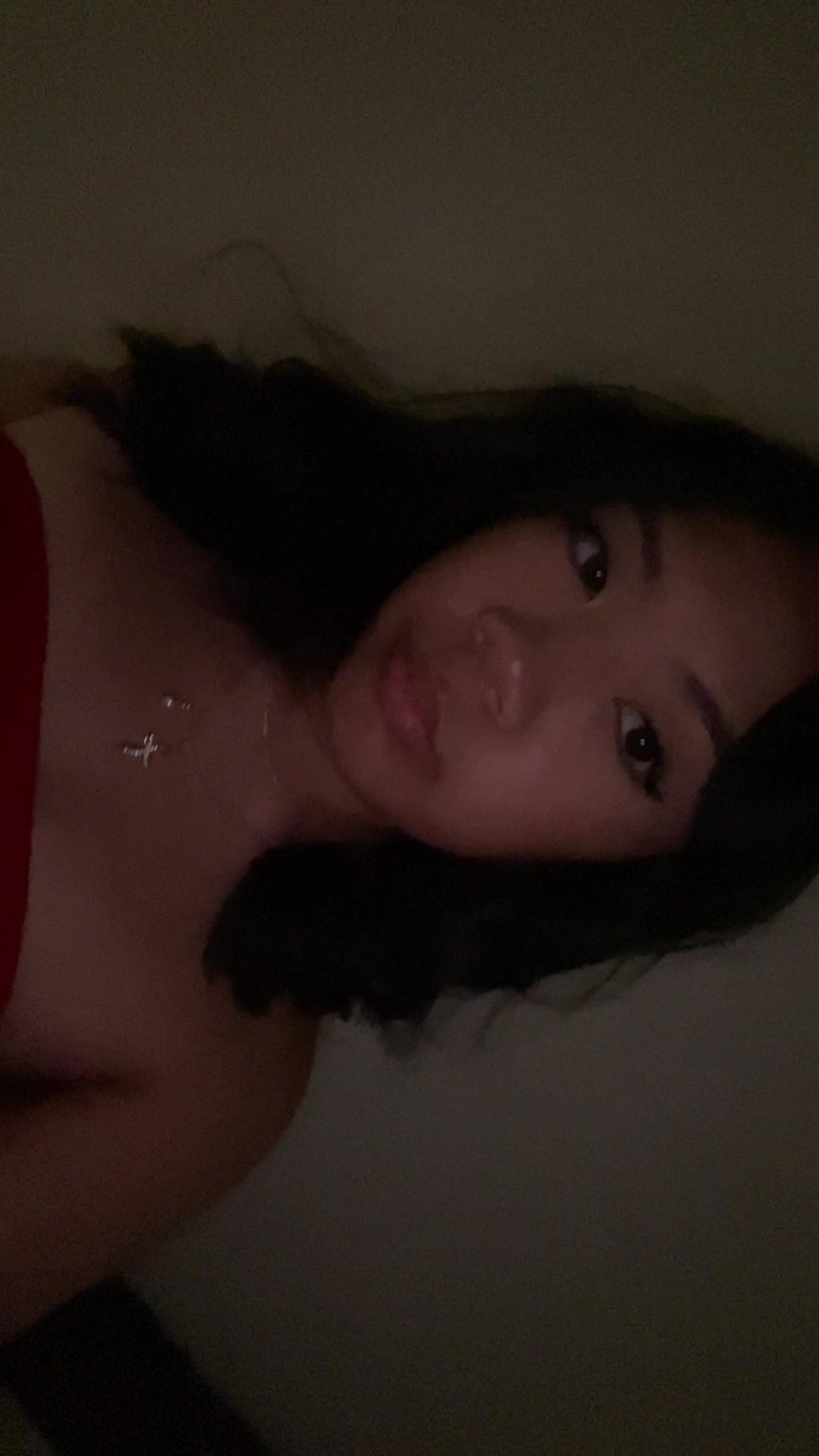 @shorthairsherbert